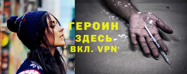 spice Богородицк