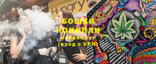 гашик Богородск