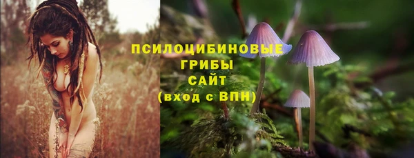 COCAINE Белокуриха