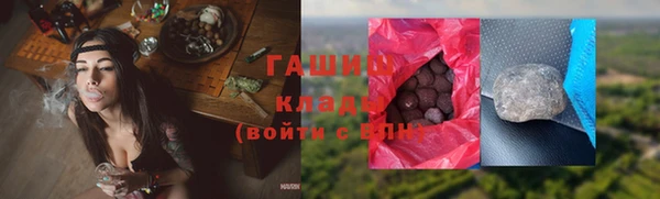 spice Богородицк