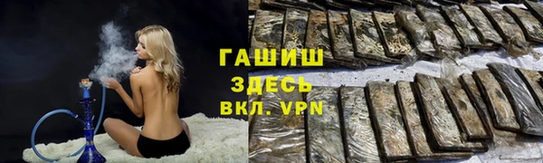 spice Богородицк
